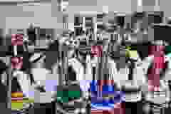 1000004593