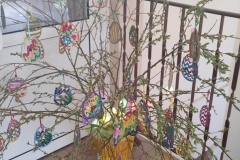 IMG_20250409_095032084