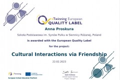 Cultural-Interactions-via-Friendship