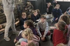 461166005_530609879584138_7847847605628803836_n