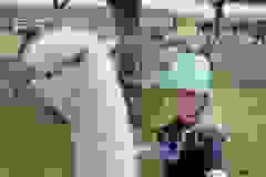 Messenger_creation_DB9520B6-6144-4CC1-94DE-0C46A0C40A27