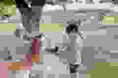 Messenger_creation_E4DAA392-B92A-4F19-836F-B56C5388109F