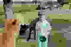 Messenger_creation_E658654C-751D-4B7F-83EA-A97A04632397