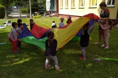 195313920_288866539538825_5156228530362638178_n-1