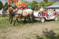 197886912_298511815286120_3880047091519879892_n