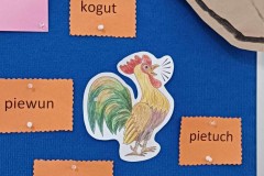 428924751_286847854419693_7185343761426958081_n