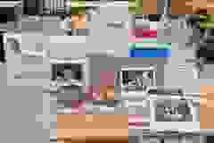 92bbe5b3-dd31-4a51-8e4c-e6da56feec19