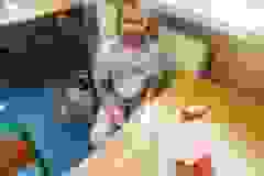 1_Messenger_creation_0017B395-79BD-45BA-BEE6-817A6F8DFA1C