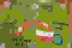 2f53918a-aa1f-4101-9f8d-552b480f93fe