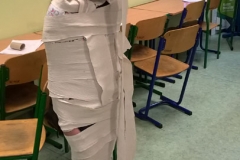 WP_20181030_16_50_18_Pro