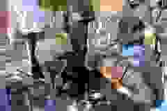 3a24de5b-71eb-454e-9287-d723049fd0e8