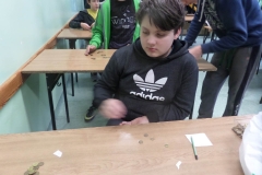 SAMSUNG CAMERA PICTURES