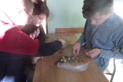 SAMSUNG CAMERA PICTURES