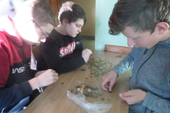 SAMSUNG CAMERA PICTURES