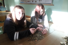 SAMSUNG CAMERA PICTURES