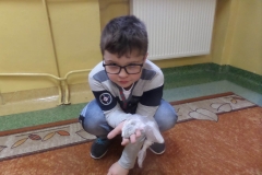 SAMSUNG CAMERA PICTURES