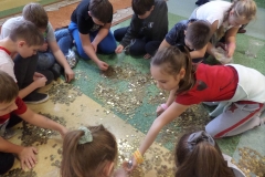 SAMSUNG CAMERA PICTURES