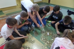 SAMSUNG CAMERA PICTURES