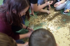 SAMSUNG CAMERA PICTURES