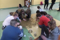 SAMSUNG CAMERA PICTURES