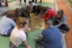 SAMSUNG CAMERA PICTURES