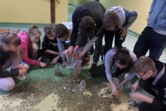 SAMSUNG CAMERA PICTURES