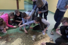 SAMSUNG CAMERA PICTURES