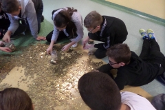 SAMSUNG CAMERA PICTURES