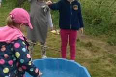 WP_20180626_11_14_06_Pro-crop