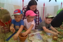 WP_20180626_12_31_45_Pro-crop