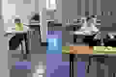 638781576_1663374261584112_1490230411679517679_n