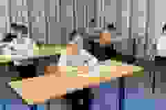 639566539_2028435881046217_7651806101807966301_n