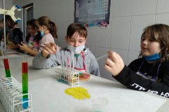 IMG_20210921_095241