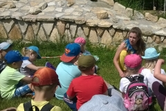 WP_20170608_11_09_33_Pro-crop