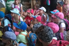 WP_20170608_11_56_41_Pro