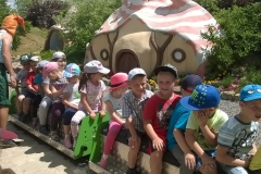 WP_20170608_12_53_49_Pro-crop