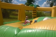 WP_20170608_14_22_59_Pro-crop