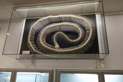 414144222_7650757354953376_979521695166394611_n