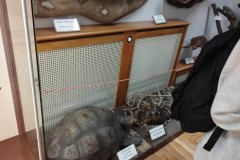 414183409_1094516175016782_719907143402086679_n