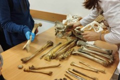 414339469_1399046794040665_7853859732599180756_n