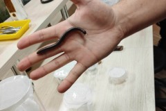 414392286_1121063148919724_5207730038030689031_n