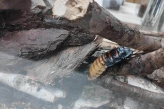 415253078_1603426747062457_2112790409371141416_n