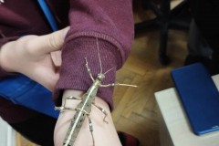 415356449_348928751235207_6945385149384227621_n