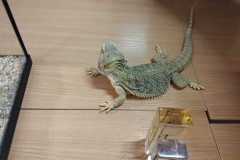 415360660_904272474379903_6912778475935975467_n