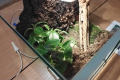 415370876_674401068109613_1310590707051728308_n