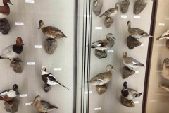 415372278_240216969028100_5388997393015625426_n