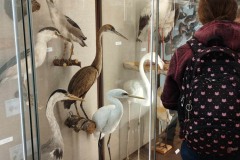 415391379_2378755462512593_2398965874960589847_n