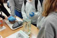 415446044_255168100809874_6645747978222208346_n