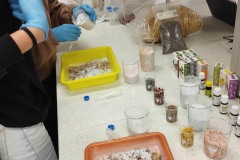 415451935_3680780162141385_7332695152484290257_n