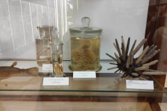 415451936_1374326020145436_9104858634948593387_n